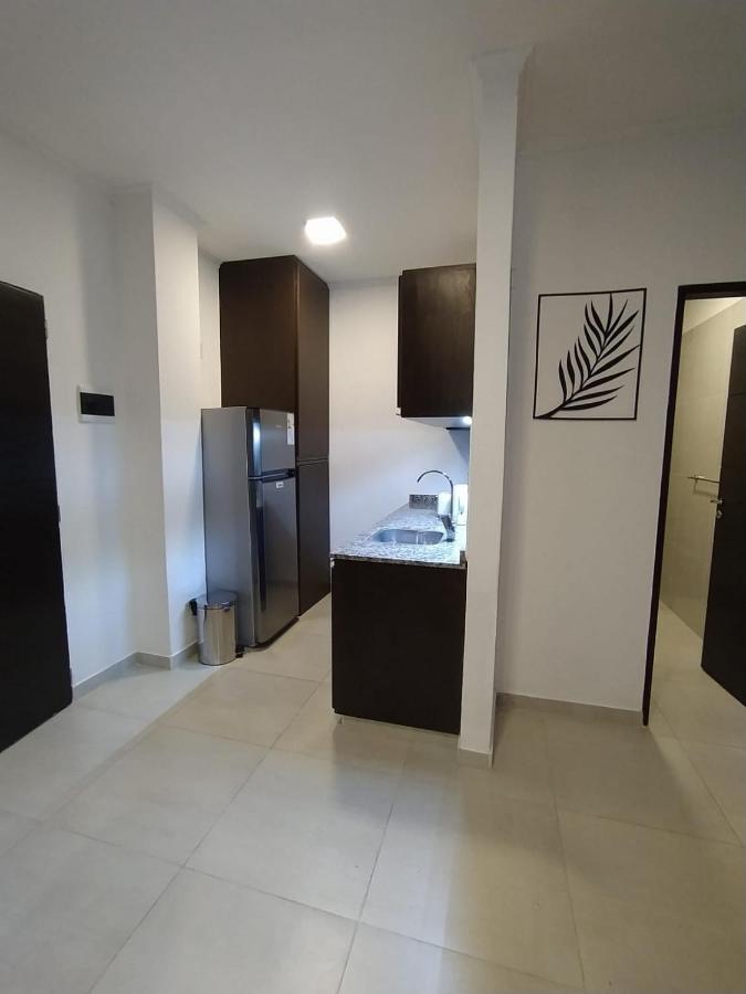 Apartamento Apart Boutique Posadas Exterior foto
